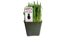 Rosy's 100% Organic Kitty Grass Cat Treat for Pets One Size