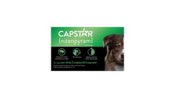 Capstar Oral Flea Treatment for Dogs 25 lbs and Up (6 ct)